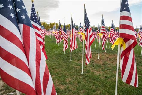 Big Field Of Veterans Day American Flags Waving In The Breeze. Stock ...