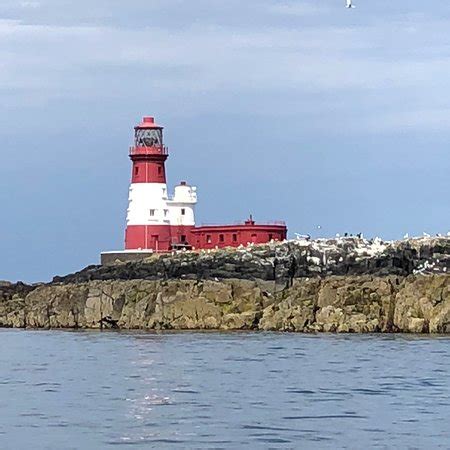 Golden Gate Farne Island Boat Trips (Seahouses) - 2019 All You Need to ...