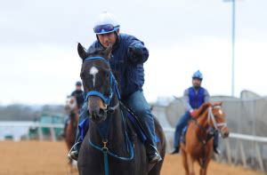 Racing season opens at Oaklawn | Arkansas.com