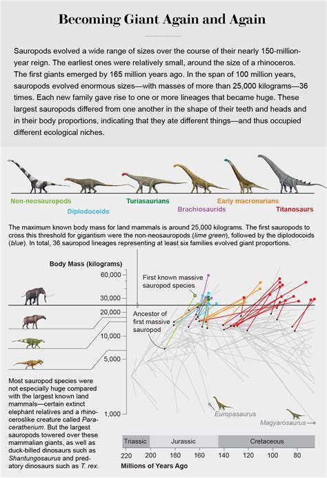 Sauropod Size Comparison