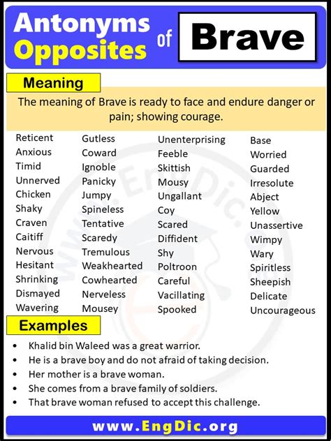 Opposite of Brave, Antonyms of Brave (Example Sentences) - EngDic