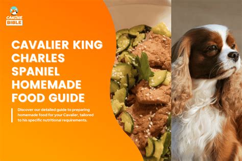 Cavalier King Charles Spaniel Homemade Food Recipes & Diet Guide ...