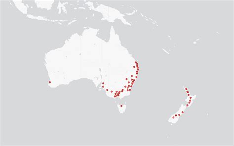 Tesla Supercharger Network Unlocked to Non-Tesla EV's | EV Charge Australia