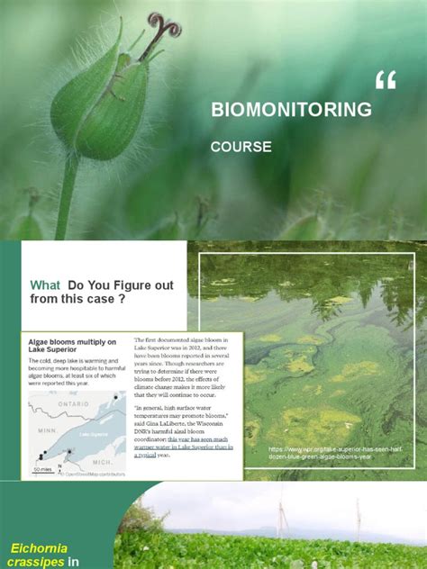 Bioindikator Fix | PDF | Ecosystem | Nature