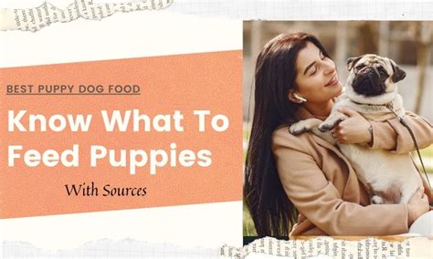 What's the Best Dog Food for Puppies? - DogTipsy