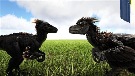 Deinonychus Vs Velociraptor