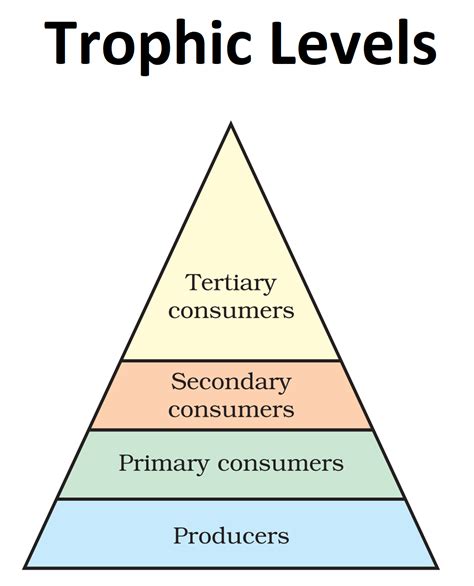 Form two topic 3