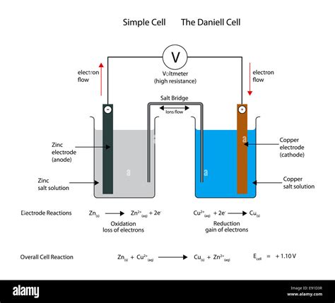 Simple electrochemical or galvanic cell. The Daniell cell Stock Photo - Alamy