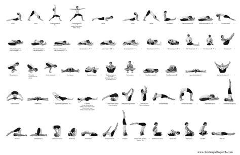 Ashtanga Dispatch: The Primary Series Cheat Sheet | Ashtanga yoga ...