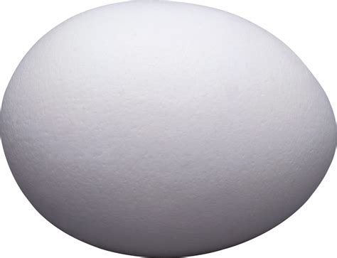 White Egg Png 751 Download