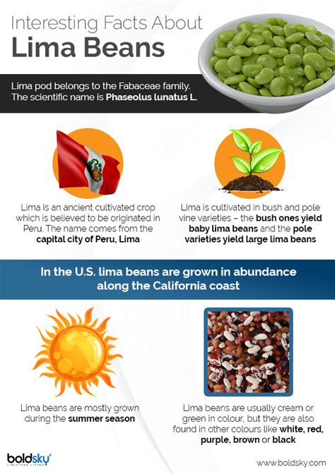 8 Wonderful Health Benefits Of Lima Beans You Never Knew - Boldsky.com