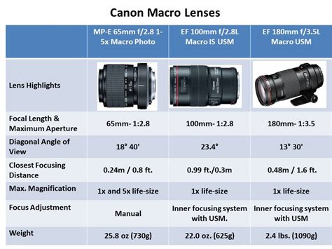 The Macro Lenses Explained - Samples & Recommendations