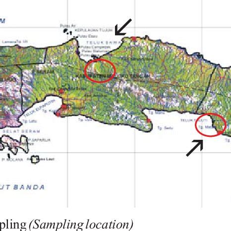 Gambar ( 1. Peta lokasi penelitian Pulau Seram ( Figure) Map of site... | Download Scientific ...