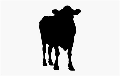 Baby Calf Png File - Baby Cow Silhouette , Free Transparent Clipart - ClipartKey