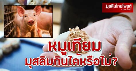 หมูฮาลาล? อเมริกันผลิตหมูเทียม ทำมุสลิมปั่นป่วนกินได้หรือไม่ MUSLIMTHAIPOST