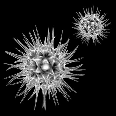 Virus under electronic microscope isolated on black — Stock Photo © razlomov #4380252