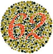 Color Blindness - Genetics