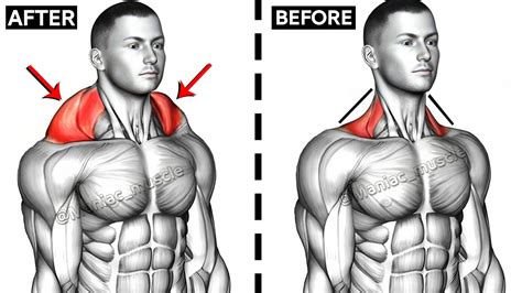 7 BEST EXERCISE TRAPEZIUS WORKOUT WITH DUMBBELLS 🔥 - YouTube