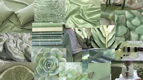 Sage Green Aesthetic Collage Wallpaper