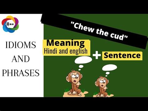 idiom chew the cud||Advanced english phrases||Advanced english ...