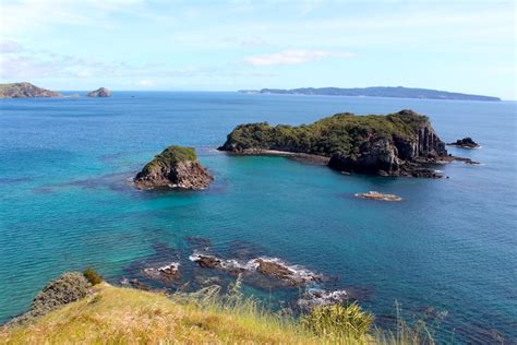 17 of the Best Coromandel Beaches - Ultimate Summer Guide