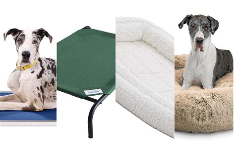 The best dog beds for large dogs in 2023 - Trendradars Latest