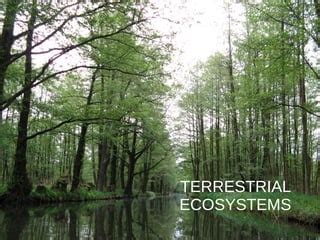 Terrestrial ecosystems | PPT