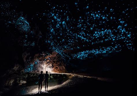 Kawiti Glow Worm Caves - Bay Of Islands, New Zealand | Adventure travel ...