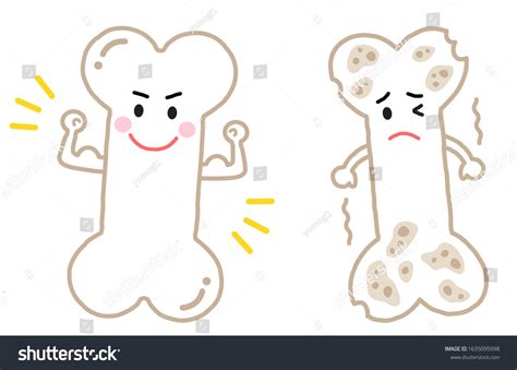 Smiling Healthy Bone Fragile Bone Isolated Stock Vector (Royalty Free ...