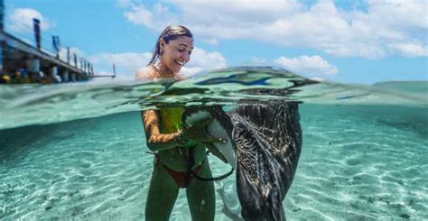 Stingray Beach Cozumel, San Miguel de Cozumel - Book Tickets & Tours ...