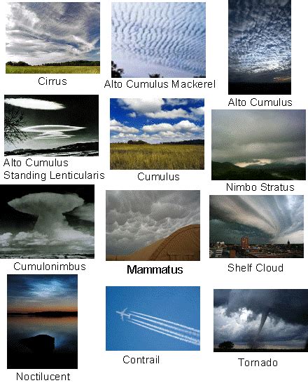 Different Types of Clouds | Do you know them all?