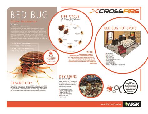 Crossfire Bed Bug Aerosol - How To Pest -Free Shipping