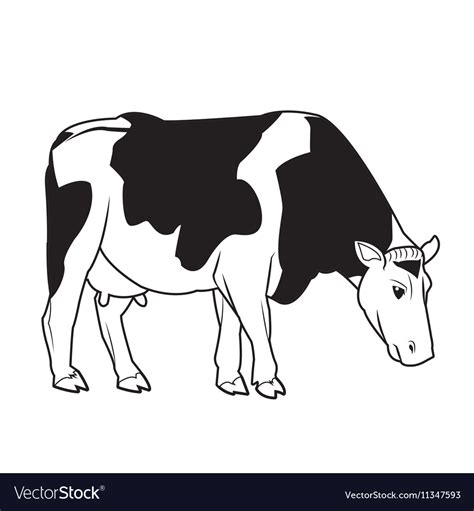 Black and white cow design Royalty Free Vector Image