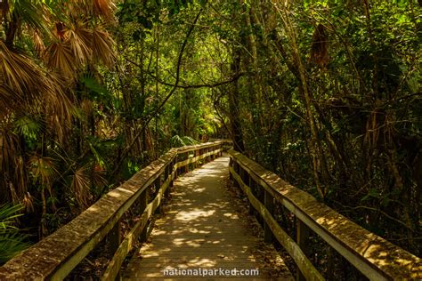 Main Park Road in Everglades National Park (Part 1) - National Parked