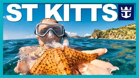 INCREDIBLE SNORKELING | St. Kitts Shore Excursion | Royal Caribbean ...