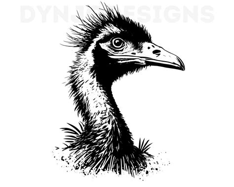 Emu Svg, Emu Clipart, Emu Png, Emu Head, Emu Cut Files for Cricut , Emu ...