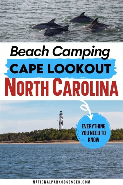 Cape Lookout Camping: The Complete Guide To Camping At Cape Lookout ...