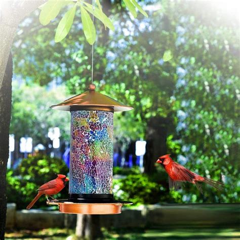 The Best Bird Feeder Deals on Amazon Right Now - Birds and Blooms