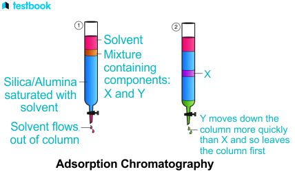 Adsorption Chromatography: Know Principle, Types, Advantage & More