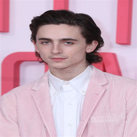 Timothée Chalamet Is Playing Bob Dylan In A James Mangold-Directed Biopic