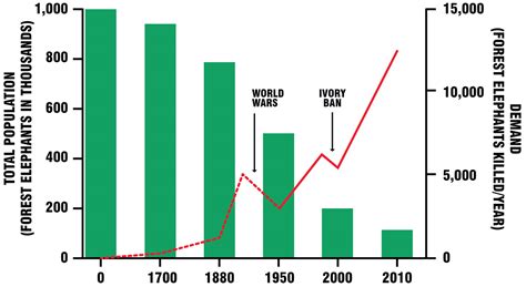 GBN—African Forest Elephant Decline | Fantastic Offense