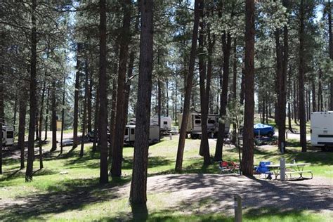 Custer State Park Campgrounds - UPDATED 2018 Reviews & Photos (SD ...