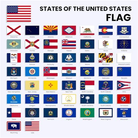 Premium Vector | All United States of America flags All USA States ...