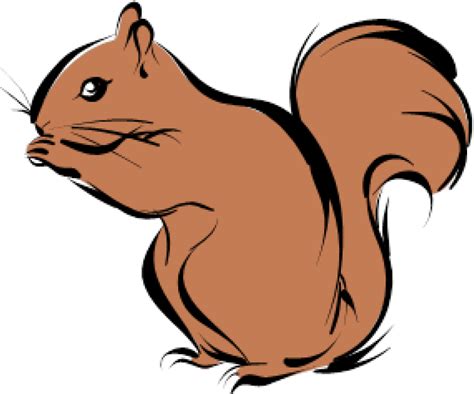 Download Transparent Background Squirrel Clipart Png (#5560108 ...