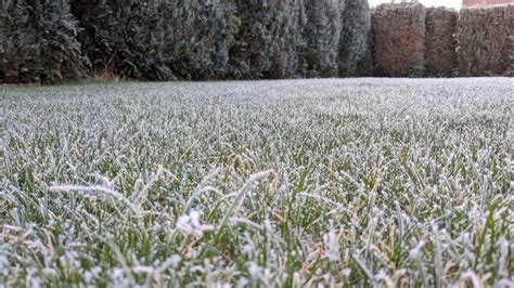 Winter Lawn Fertilizer: Tips on Keeping Your Grass Thrives