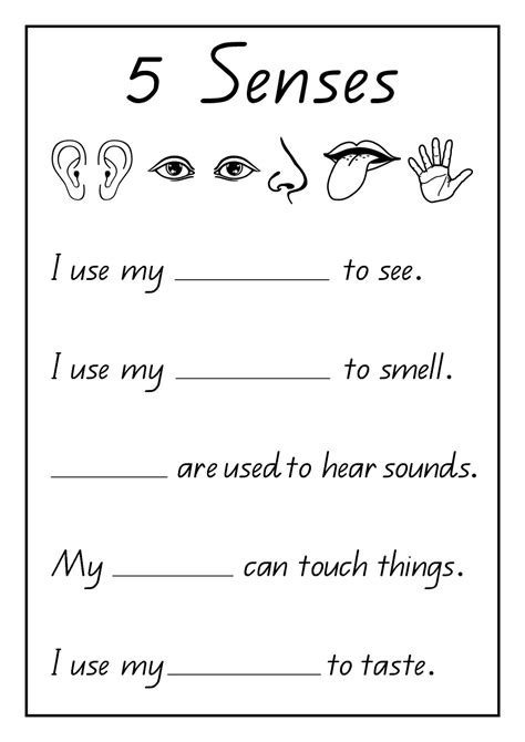 five sense worksheet: NEW 366 FIVE SENSES WORKSHEET GRADE 5