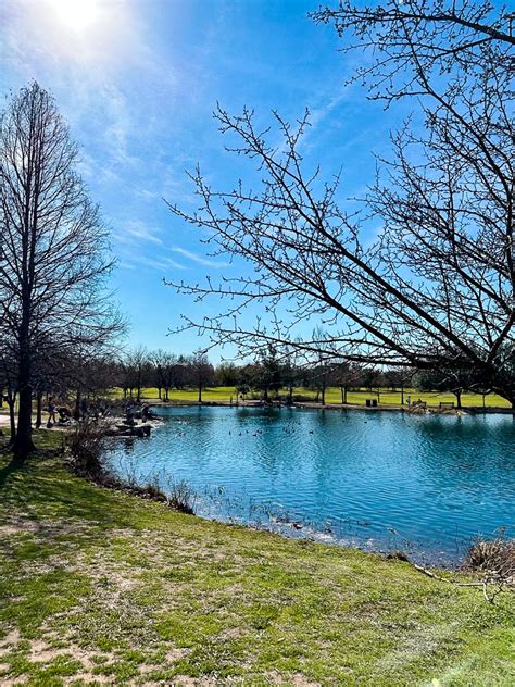 A Guide To Mueller Lake Park in Austin Texas | The Austin Things