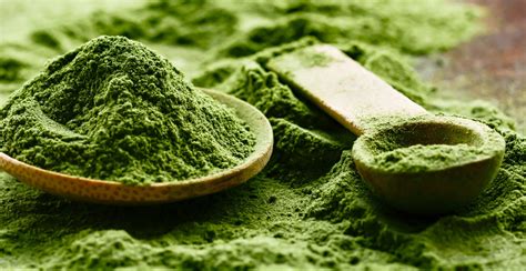 The Best Matcha Powder | Reviews, Ratings, Comparisons
