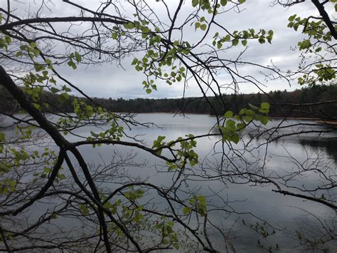 Reflections from a Visit to Walden Pond – The Mountain Path