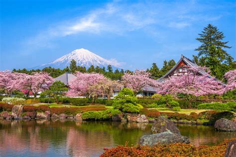 Fujinomiya, Shizuoka, Japan with Mt. Fuji Stock Photo - Image of park ...